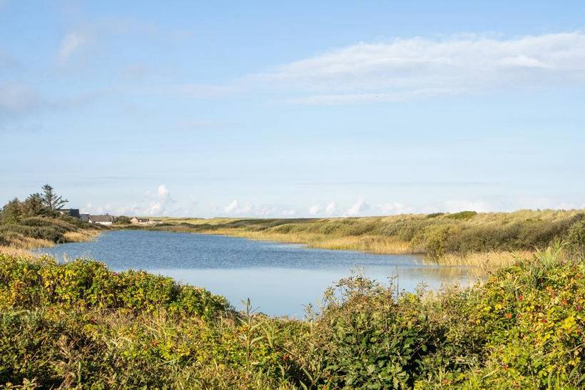 Foto von Ferienhaus JO44 in Agger - Thy/Limfjord