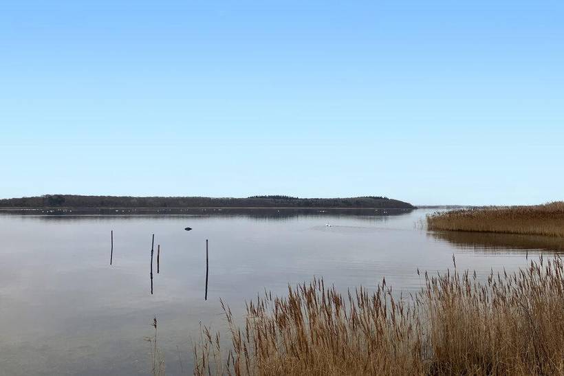 Foto von Ferienhaus JO61 auf Gershøj - Nordseeland