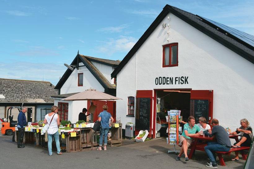 Foto von Ferienhaus JP50 in Sjællands Odde - Westseeland