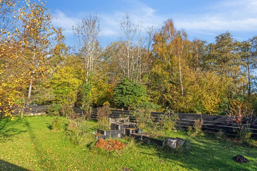 Foto von Ferienhaus JP95 in Gedesby - Falster