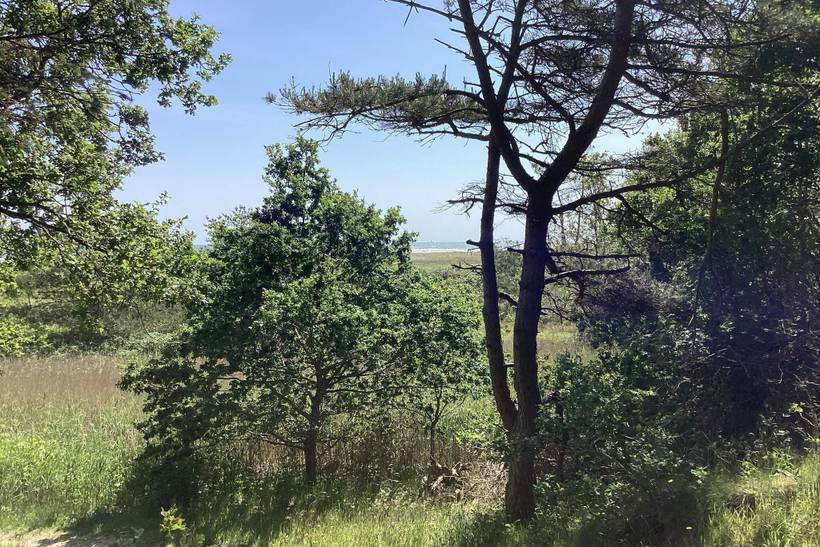 Foto von Ferienhaus JQ33 in Bisnap - Hou - Nordjütland Ost
