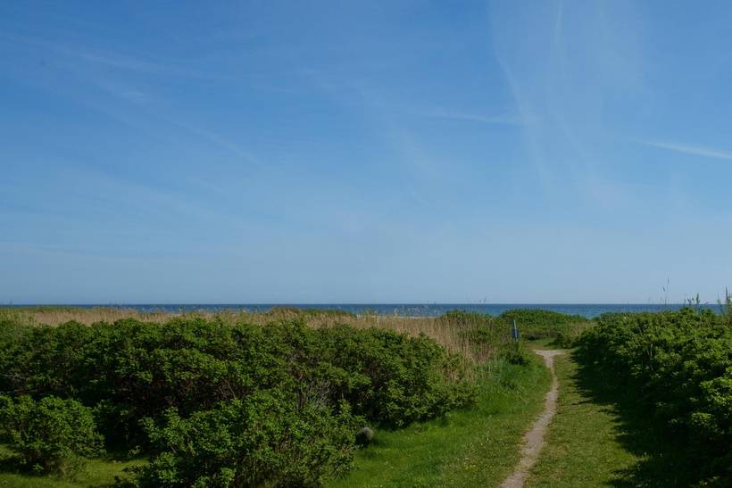 Foto von Ferienhaus JQ79 in Øer - Ebeltoft - Ostjütland