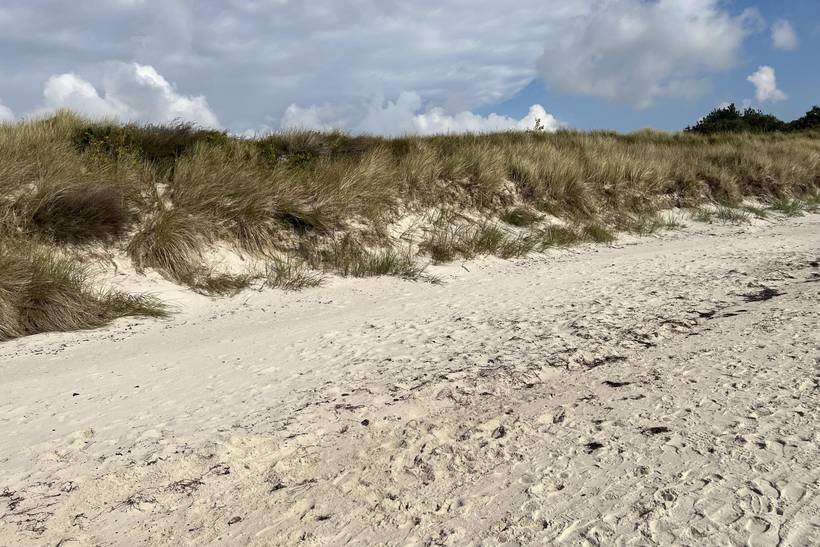 Foto von Ferienhaus JR04 in Dueodde - Bornholm