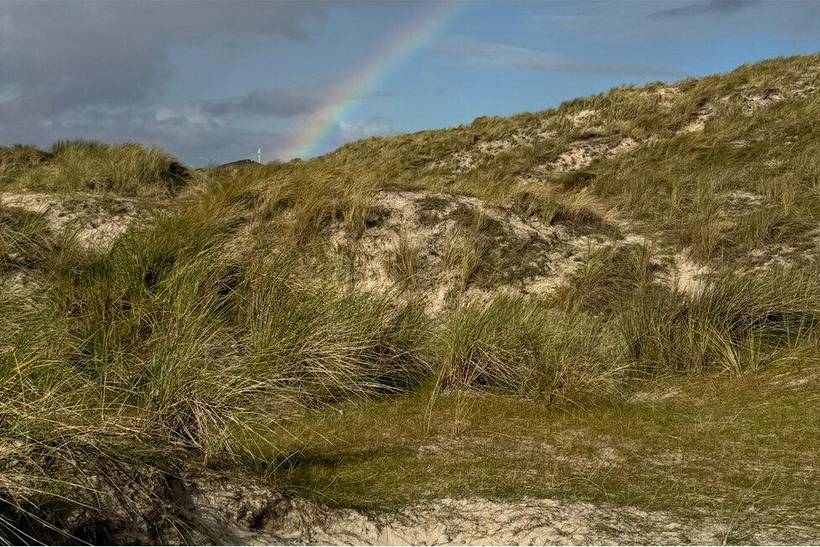 Foto von Ferienhaus JR21 in Rindby - Fanø