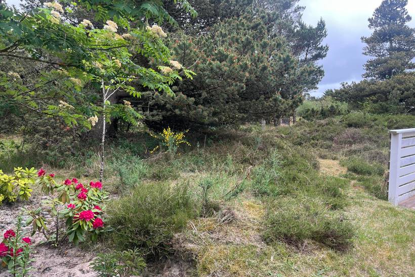Foto von Ferienhaus JR54 in Blåvand - Westjütland