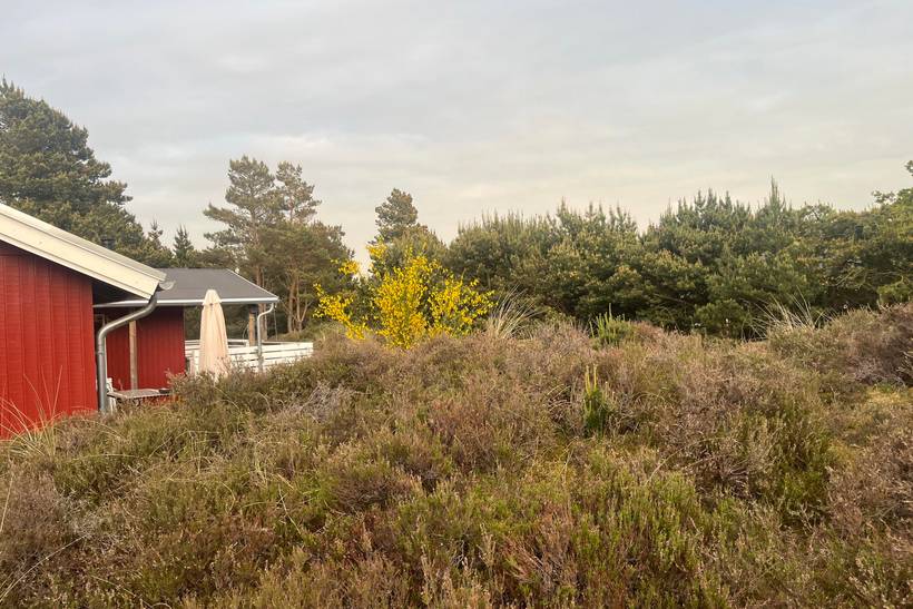 Foto von Ferienhaus JR54 in Blåvand - Westjütland