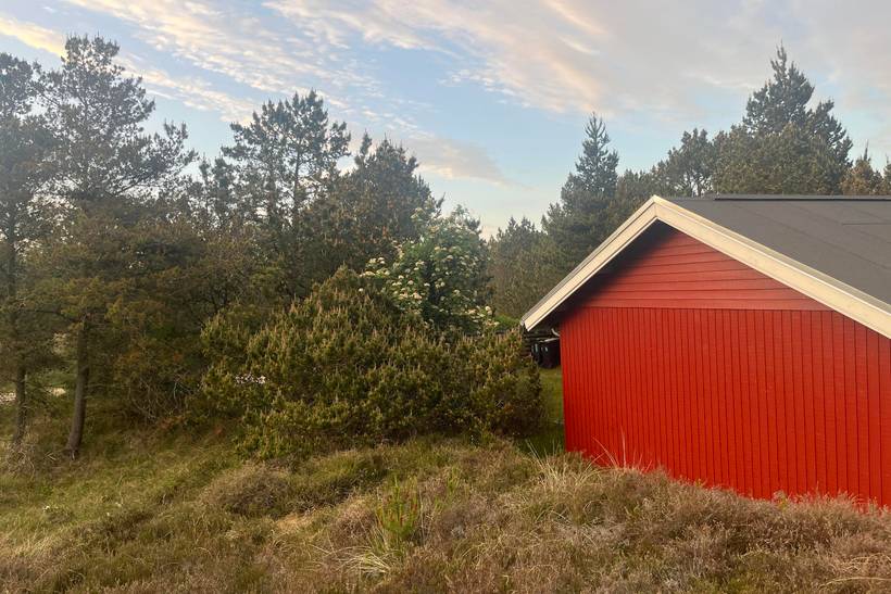 Foto von Ferienhaus JR54 in Blåvand - Westjütland