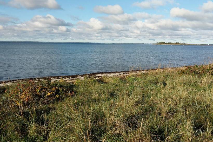 Foto von Ferienhaus JR70 in Kulhuse - Nordseeland