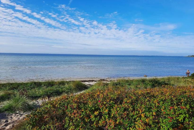 Foto von Ferienhaus JR70 in Kulhuse - Nordseeland