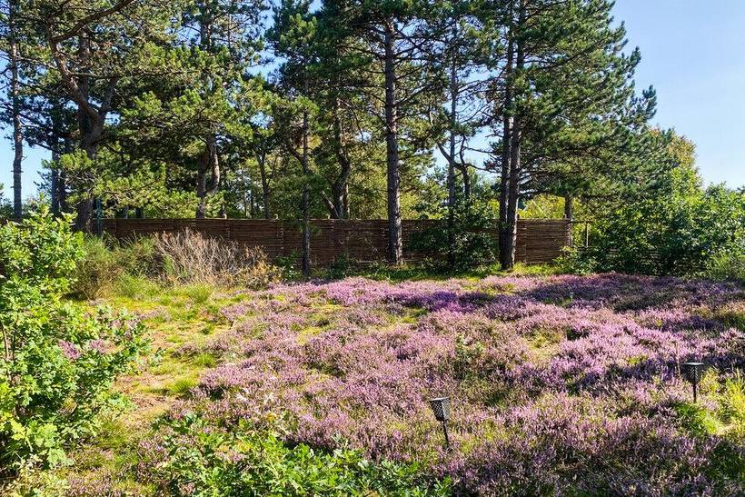 Foto von Ferienhaus JS18 in Sejerø Bugt - Westseeland