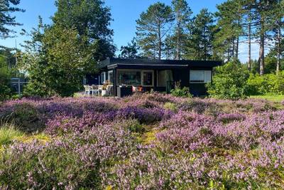 Vorschaubild von Ferienhaus JS18 in Sejerø Bugt - Westseeland