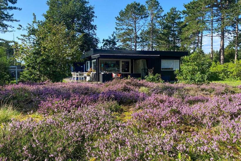 Foto von Ferienhaus JS18 in Sejerø Bugt - Westseeland
