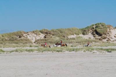 Vorschaubild von Ferienhaus JS35 in Sønderstrand - Rømø