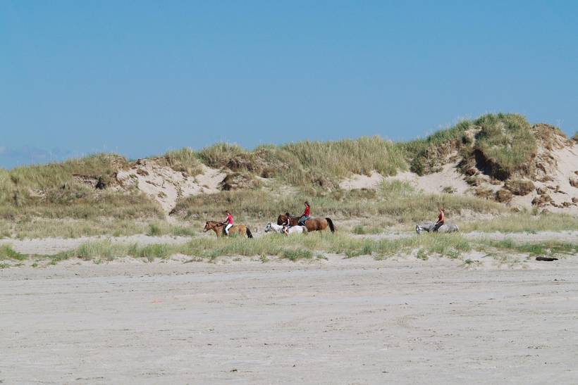 Foto von Ferienhaus JS35 in Sønderstrand - Rømø