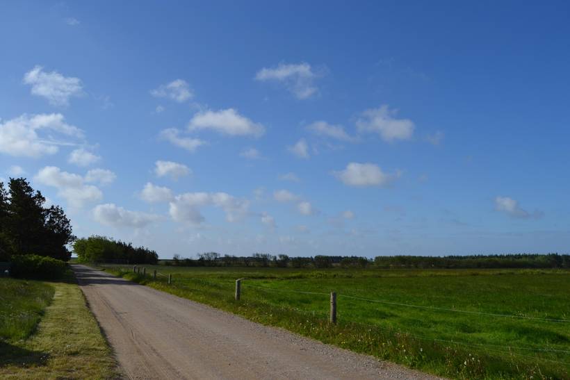 Foto von Ferienhaus JS35 in Sønderstrand - Rømø