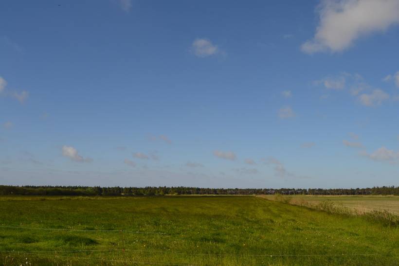 Foto von Ferienhaus JS35 in Sønderstrand - Rømø
