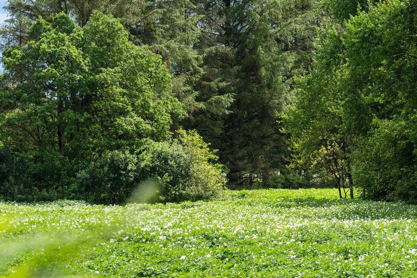 Foto von Ferienhaus JT14 in Videbæk - Westjütland