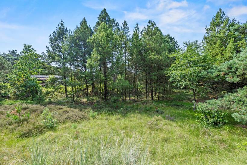 Foto von Ferienhaus JT37 in Sønderstrand - Rømø