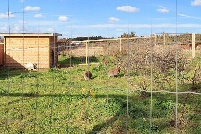 Foto von Ferienhaus JT63 in Løkken - Nordjütland