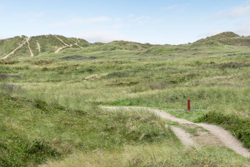 Foto von Ferienhaus JU05 in Lakolk - Rømø