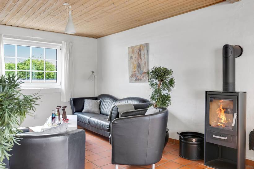 Foto von Ferienhaus JU51 in Ejsingholm - Thy/Limfjord