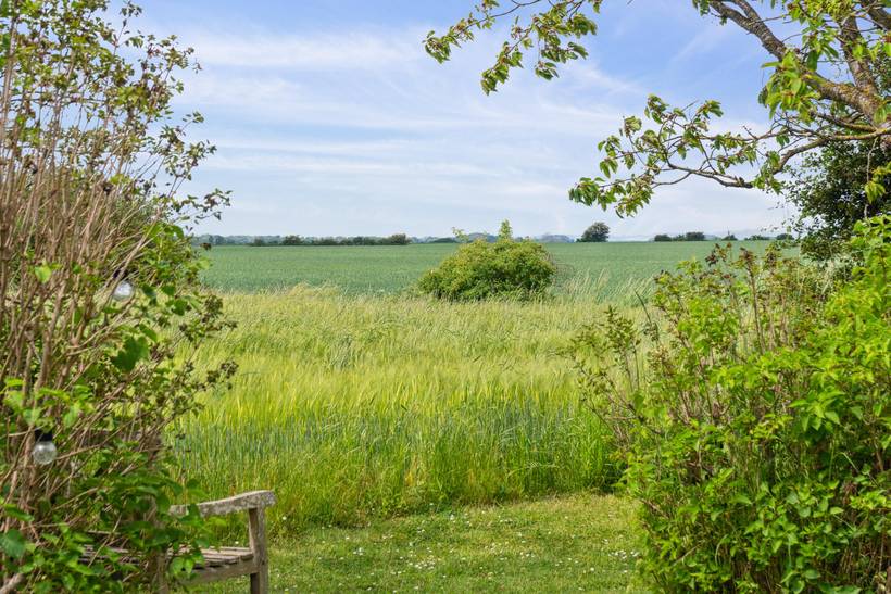 Foto von Ferienhaus JV59 in Dyngby - Odder - Ostjütland