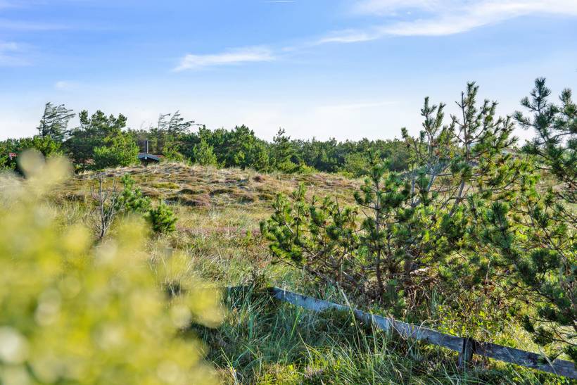 Foto von Ferienhaus JV97 in Klitmøller - Thy/Limfjord