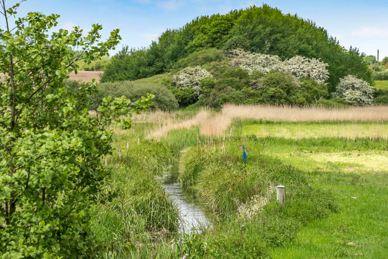 Foto von Ferienhaus JW25 in Vemmingbund - Südjütland