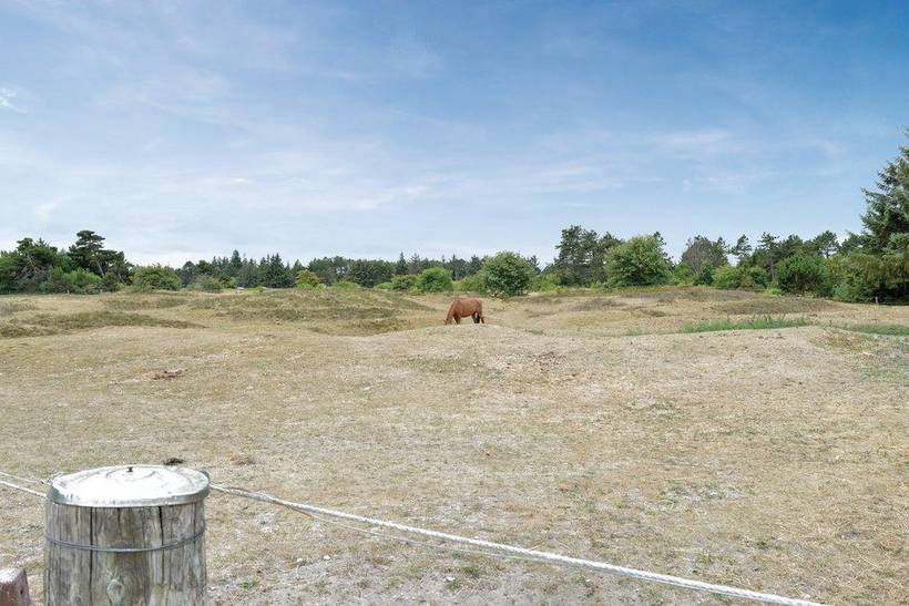 Foto von Ferienhaus JW43 in Kromose - Rømø