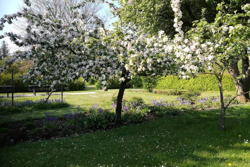 Foto von Ferienhaus JW76 in Sæby - Nordjütland Ost