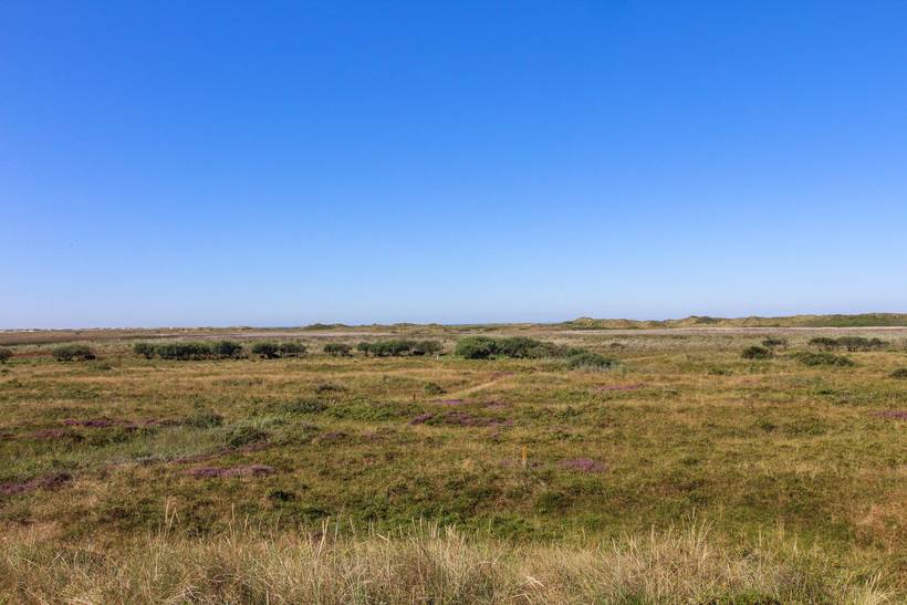 Foto von Ferienhaus JX41 in Lakolk - Rømø