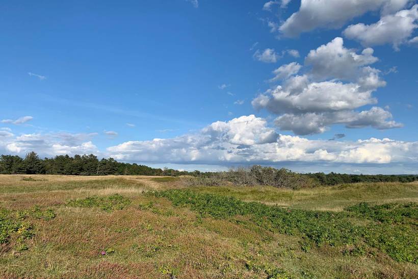 Foto von Ferienhaus JX85 in Rågeleje - Nordseeland