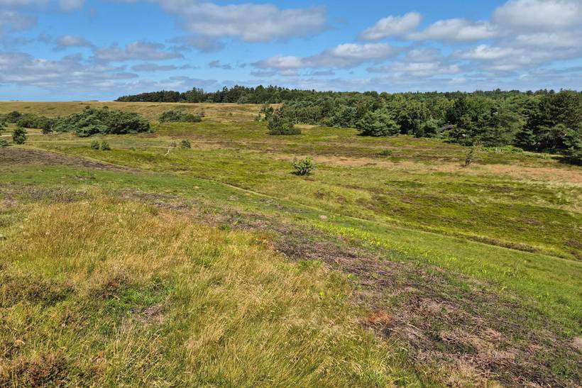 Foto von Ferienhaus JX85 in Rågeleje - Nordseeland