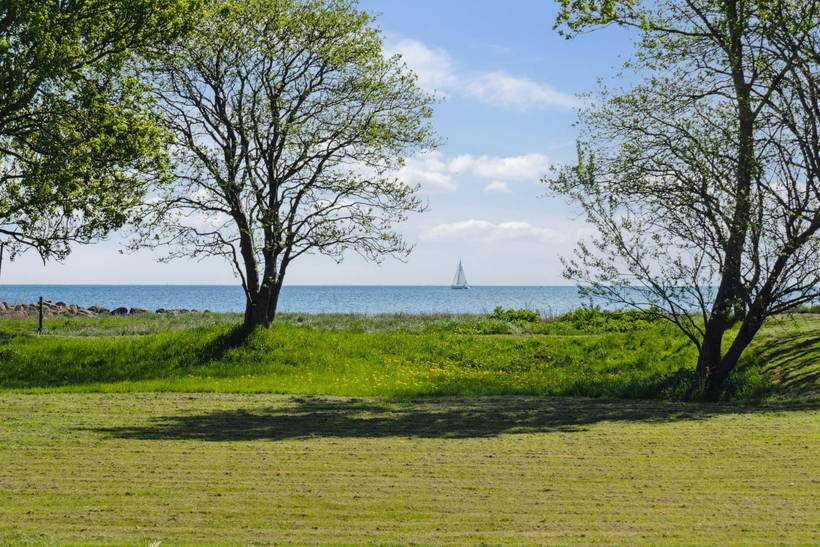 Foto von Ferienhaus JY32 in Hou - Odder - Ostjütland