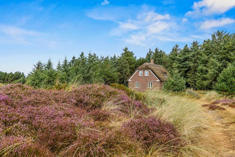 Foto von Ferienhaus JY51 in Blåvand - Westjütland