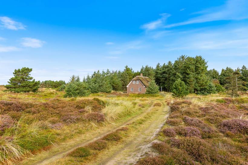 Foto von Ferienhaus JY51 in Blåvand - Westjütland