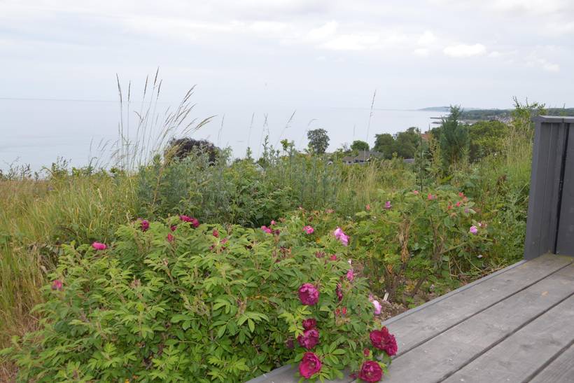Foto von Ferienhaus JY94 in Sandkås - Bornholm