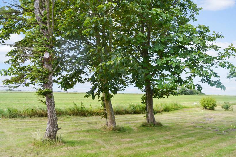 Foto von Ferienhaus JZ23 in Ballum - Südjütland