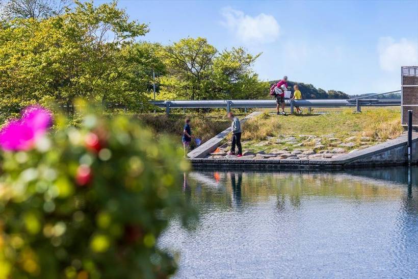 Foto von Ferienhaus JZ30 in Ajstrup - Odder - Ostjütland