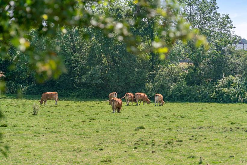 Foto von Ferienhaus JZ49 in Varnæs - Südjütland