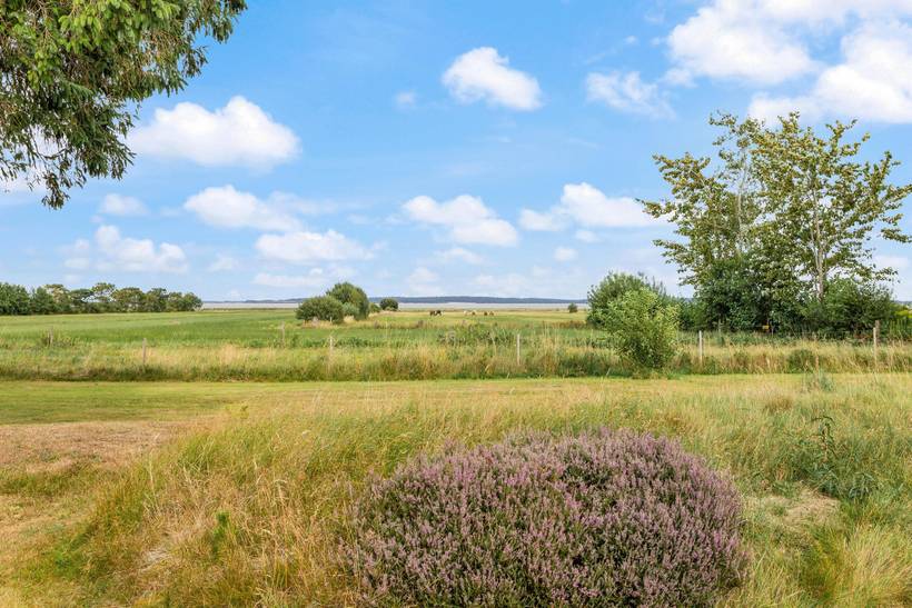 Foto von Ferienhaus JZ78 in Ho - Blåvand - Westjütland