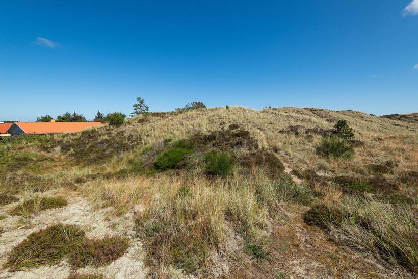 Foto von Ferienhaus JZ96 in Gl. - Skagen - Nordjütland