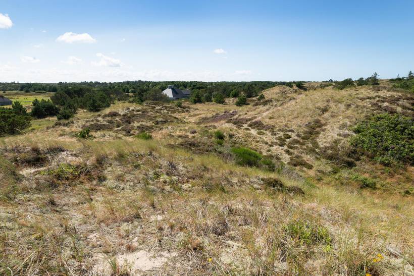 Foto von Ferienhaus JZ96 in Gl. - Skagen - Nordjütland