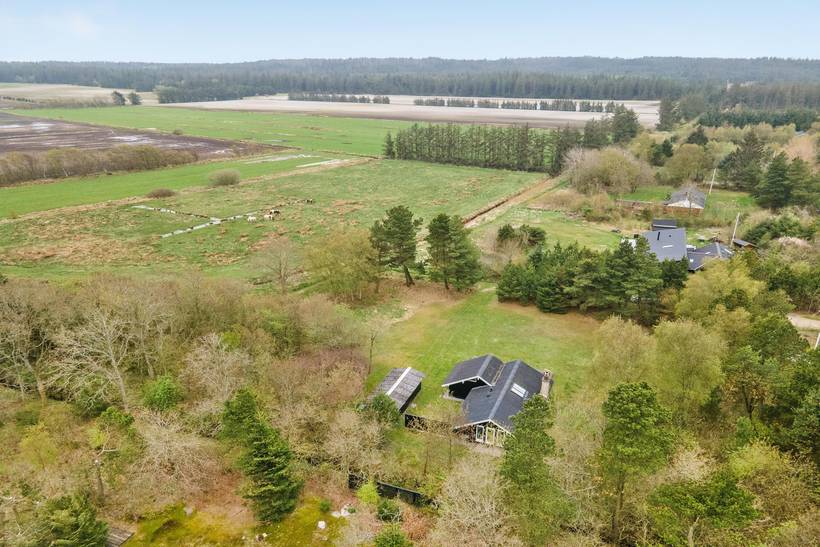Foto von Ferienhaus KA46 in Houstrup - Westjütland