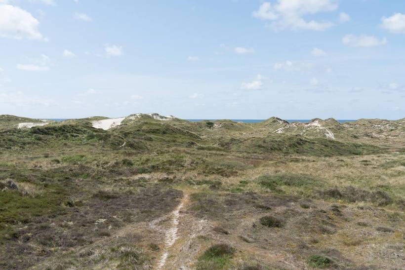 Foto von Ferienhaus KA83 in Henne Strand - Westjütland
