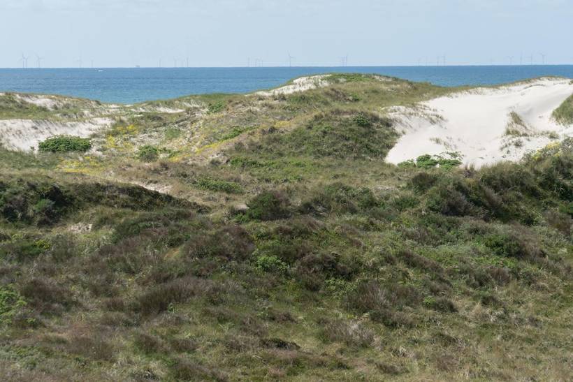 Foto von Ferienhaus KA83 in Henne Strand - Westjütland