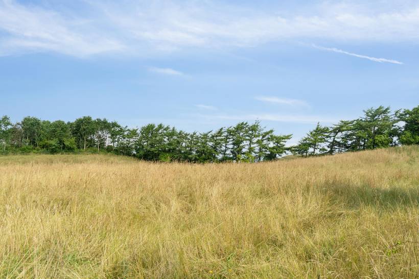 Foto von Ferienhaus KB61 in Helgenæs - Mols - Ostjütland