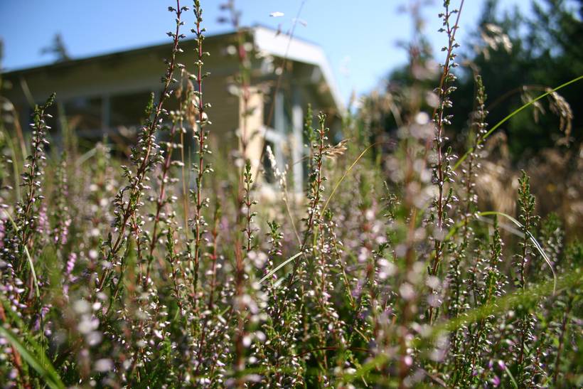 Foto von Ferienhaus KB84 in Thorup - Nordjütland