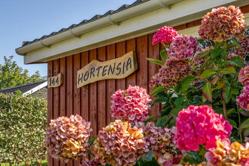 Foto von Ferienhaus KC06 in Skovmose - Als