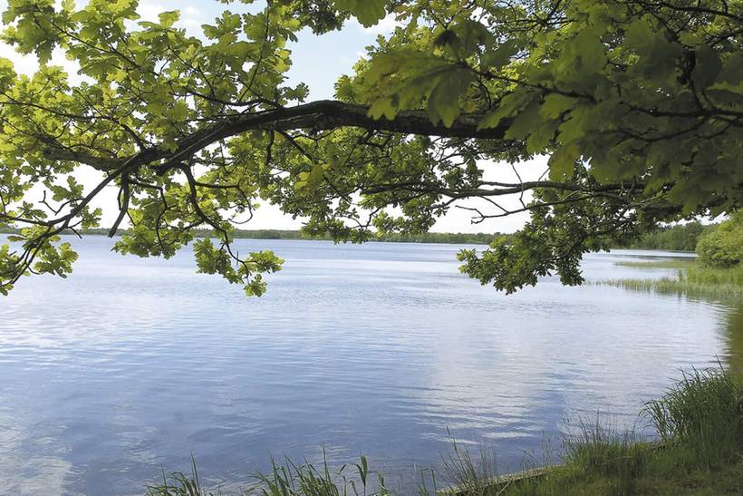 Foto von Ferienhaus KC77 in Kvie Sø - Westjütland